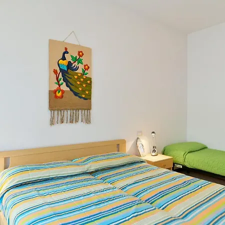 Stella D'oro * 卡奥莱