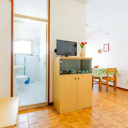 Stella D'oro 卡奥莱