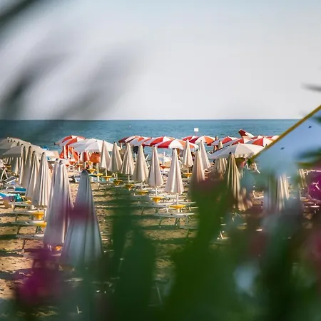 Stella D'oro * Caorle