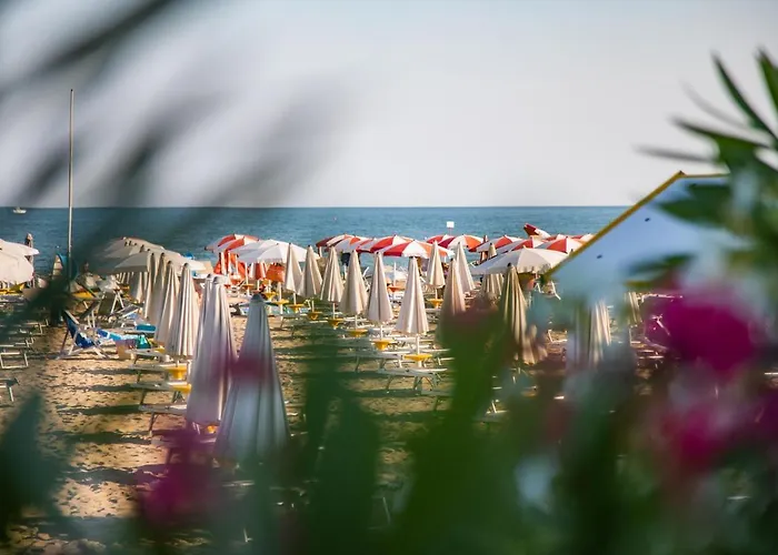 Stella D'oro * Caorle